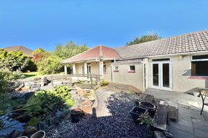 Photo 13- click for photo gallery